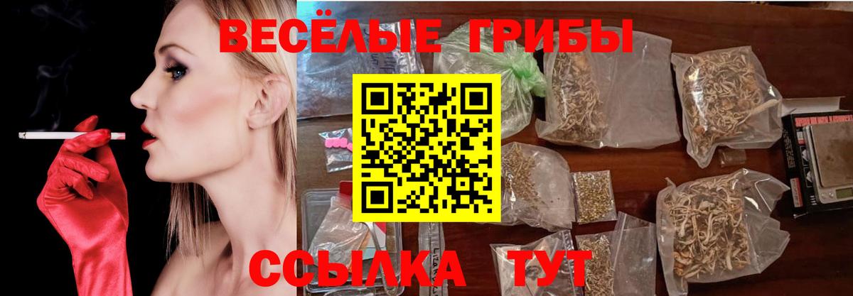 Канаш  Псилоцибиновые грибы GOLDEN TEACHER  Вход с VPN 